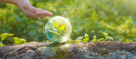 ESG dekarbonizacja ręka z wodą chroniąca małą roślinę
